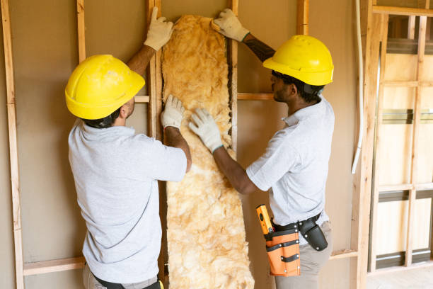 Best Best Insulation Companies  in Dike, IA