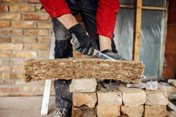 Best Insulation Contractor Near Me  in Dike, IA